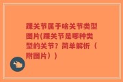 踝关节属于啥关节类型图片(踝关节是哪种类型的关节？简单解析（附图片）)