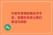 中老年宠物舒缓关节不适，氨糖软骨素让他们更活力四射