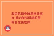 武冈氨糖骨胶原软骨素片 助力关节健康的营养补充新选择