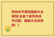 狗狗关节模型图解大全视频(全面了解狗狗关节问题：图解大全和视频！)