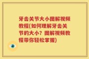 牙齿关节大小图解视频教程(如何理解牙齿关节的大小？图解视频教程带你轻松掌握)