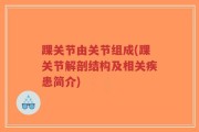 踝关节由关节组成(踝关节解剖结构及相关疾患简介)