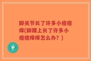 脚关节长了许多小痘痘痒(脚踝上长了许多小痘痘痒痒怎么办？)