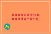 袁峰肩锁关节损伤(袁峰肩膀遭遇严重伤害)