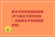 肩关节的韧带解剖视频(学习肩关节韧带结构：详解肩关节韧带解剖视频)