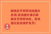 脚腕关节韧带训练图片高清(高清图片展示脚腕关节韧带训练，有效强化肌肉保护关节)