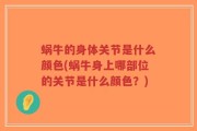 蜗牛的身体关节是什么颜色(蜗牛身上哪部位的关节是什么颜色？)