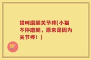 猫咪磨腿关节疼(小猫不停磨腿，原来是因为关节疼！)