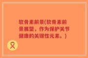 软骨素前景(软骨素前景展望，作为保护关节健康的关键性元素。)