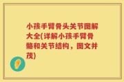 小孩手臂骨头关节图解大全(详解小孩手臂骨骼和关节结构，图文并茂)