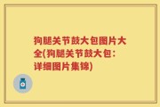 狗腿关节鼓大包图片大全(狗腿关节鼓大包：详细图片集锦)