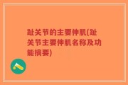 趾关节的主要伸肌(趾关节主要伸肌名称及功能摘要)