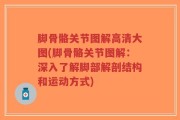 脚骨骼关节图解高清大图(脚骨骼关节图解：深入了解脚部解剖结构和运动方式)