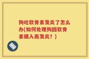 狗吃软骨素发炎了怎么办(如何处理狗因软骨素摄入而发炎？)