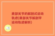 肩部关节的解剖式运动轨迹(肩部关节解剖学运动轨迹解析)