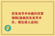 仿生关节手办图片欣赏视频(精美仿生关节手办，堪比真人运动)
