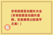 牙骨胶原蛋白图片大全(牙骨胶原蛋白图片集锦，完美展现口腔美学之美！)