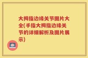 大拇指边缘关节图片大全(手指大拇指边缘关节的详细解析及图片展示)