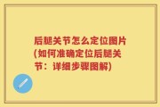 后腿关节怎么定位图片(如何准确定位后腿关节：详细步骤图解)