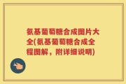氨基葡萄糖合成图片大全(氨基葡萄糖合成全程图解，附详细说明)