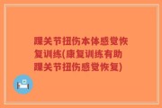 踝关节扭伤本体感觉恢复训练(康复训练有助踝关节扭伤感觉恢复)