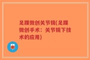 足踝微创关节镜(足踝微创手术：关节镜下技术的应用)