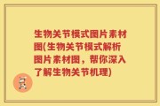 生物关节模式图片素材图(生物关节模式解析图片素材图，帮你深入了解生物关节机理)