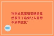 狗狗吃氨基葡萄糖后竟然发生了这些让人意想不到的变化”