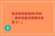 软骨素狗普安特(天呐，我的狗居然需要软骨素了！)