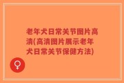 老年犬日常关节图片高清(高清图片展示老年犬日常关节保健方法)