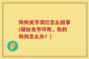 狗狗关节溃烂怎么回事(疑似关节坏死，你的狗狗怎么办？)