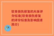 软骨损伤修复的大体评分标准(软骨损伤修复的评分标准及影响因素简介)