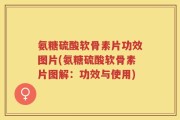 氨糖硫酸软骨素片功效图片(氨糖硫酸软骨素片图解：功效与使用)
