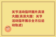 关节活动指环图片高清大图(高清大图：关节活动指环展示全方位运动轨迹)