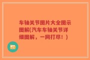 车轴关节图片大全图示图解(汽车车轴关节详细图解，一网打尽！)