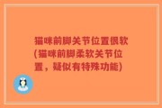 猫咪前脚关节位置很软(猫咪前脚柔软关节位置，疑似有特殊功能)