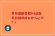 盐酸氨糖葡萄叶(盐酸氨糖葡萄叶有什么功效？)