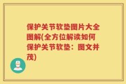 保护关节软垫图片大全图解(全方位解读如何保护关节软垫：图文并茂)
