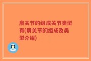 肩关节的组成关节类型有(肩关节的组成及类型介绍)