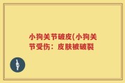小狗关节破皮(小狗关节受伤：皮肤被破裂