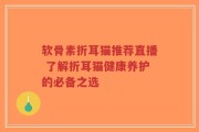 软骨素折耳猫推荐直播 了解折耳猫健康养护的必备之选