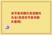 关节悬吊图片高清图片大全(高清关节悬吊图片集锦)