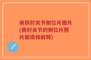 肩膀肘关节侧位片图片(肩肘关节的侧位片照片解读和解释)