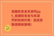氨糖软骨素天添钙ppt_氨糖软骨素与天添钙的协同作用：促进骨骼健康新策略)