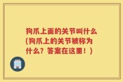 狗爪上面的关节叫什么(狗爪上的关节被称为什么？答案在这里！)