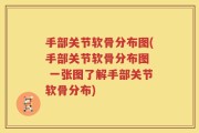 手部关节软骨分布图(手部关节软骨分布图  一张图了解手部关节软骨分布)