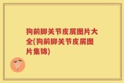 狗前脚关节皮屑图片大全(狗前脚关节皮屑图片集锦)