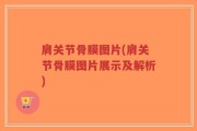肩关节骨膜图片(肩关节骨膜图片展示及解析)
