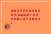 膝盖关节贴片图片高清大图(膝盖贴片：高清大图展示关节保养秘诀)