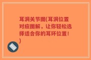 耳洞关节图(耳洞位置对应图解，让你轻松选择适合你的耳环位置！)